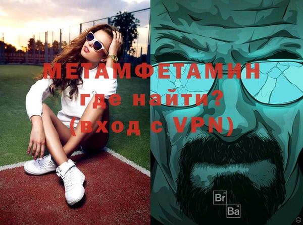 шишки Осинники
