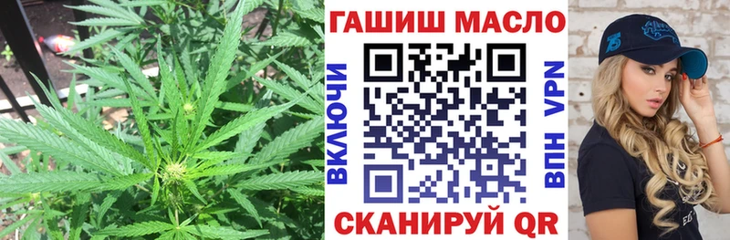 Дистиллят ТГК концентрат  купить наркотики цена  Жуков 